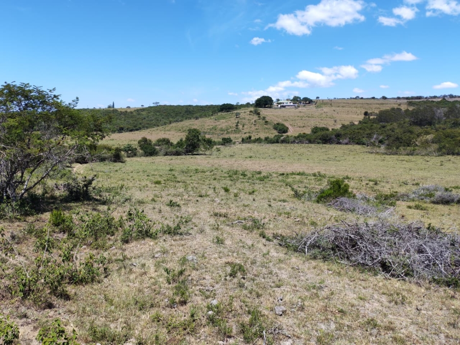 Commercial Property for Sale in Komga Rural Eastern Cape